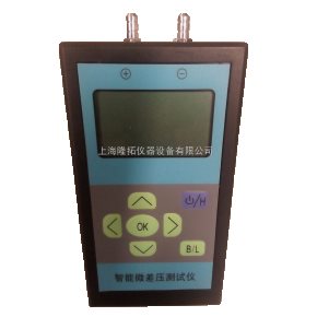 精密型差压仪